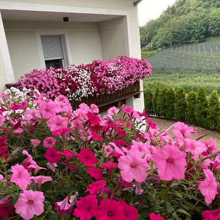 Garni San Paolo Hotel Appiano Sulla Strada Del Vino Exterior photo