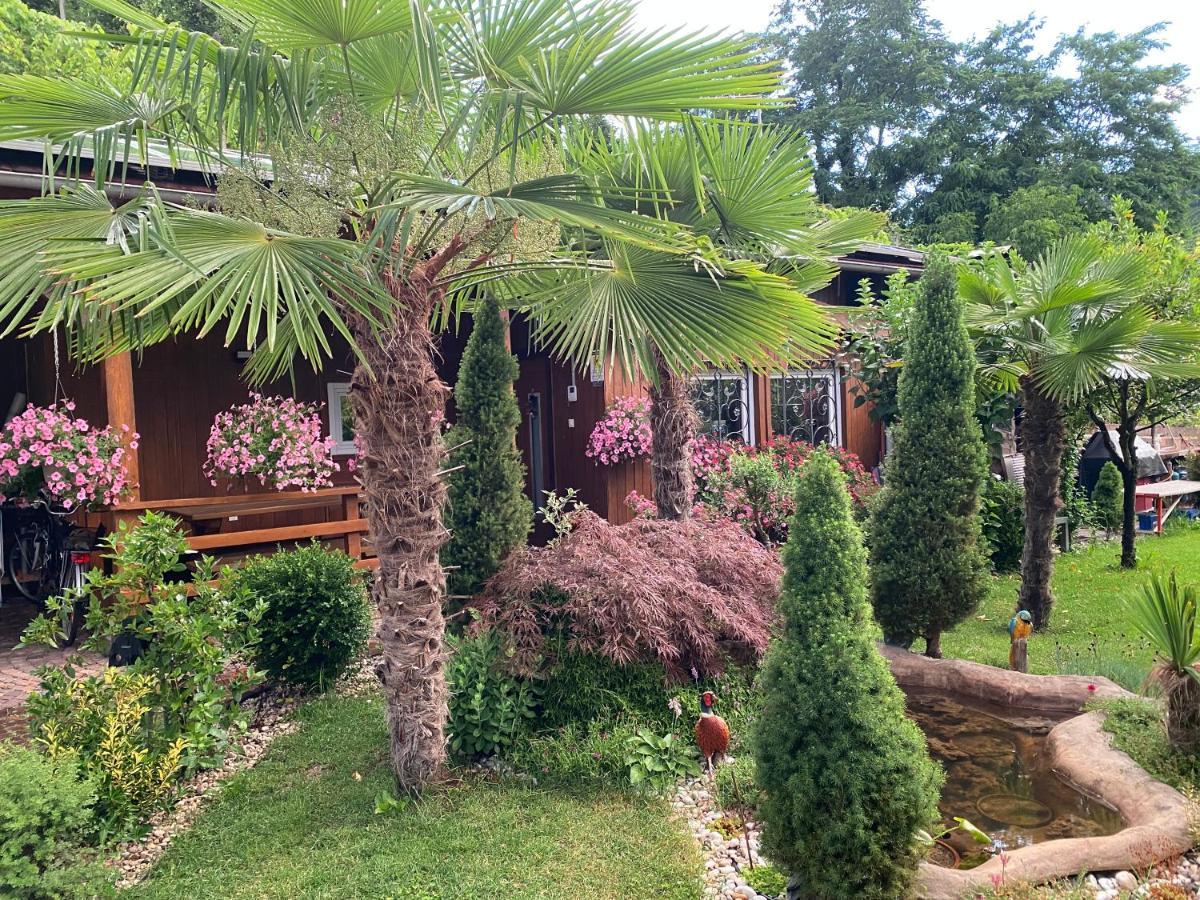 Garni San Paolo Hotel Appiano Sulla Strada Del Vino Exterior photo