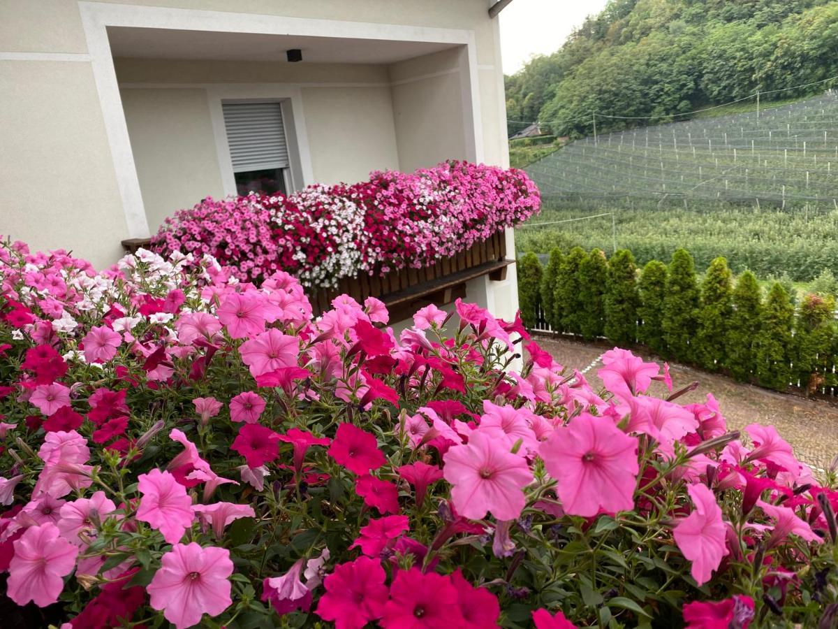 Garni San Paolo Hotel Appiano Sulla Strada Del Vino Exterior photo