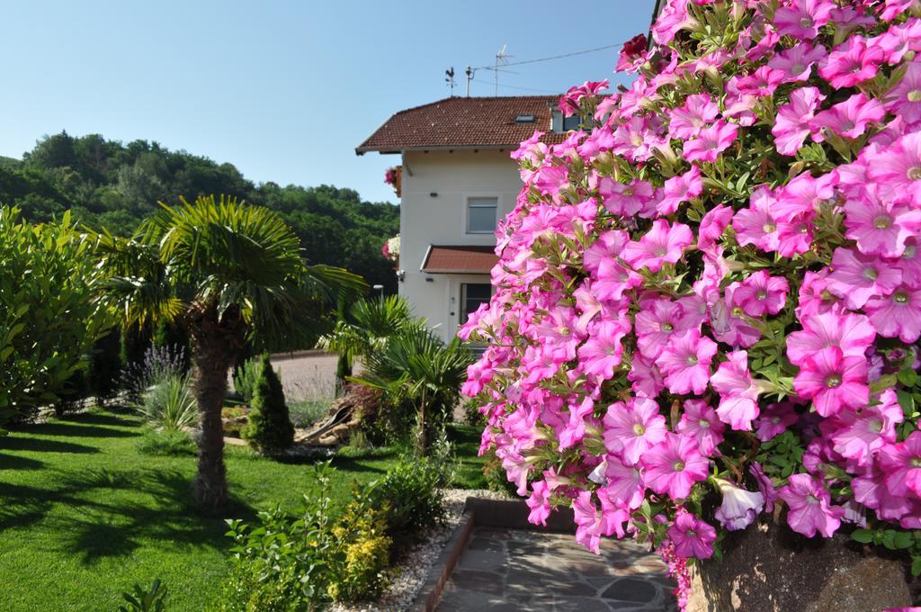 Garni San Paolo Hotel Appiano Sulla Strada Del Vino Exterior photo