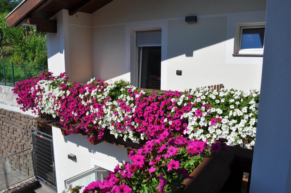 Garni San Paolo Hotel Appiano Sulla Strada Del Vino Exterior photo