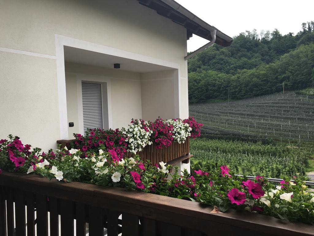 Garni San Paolo Hotel Appiano Sulla Strada Del Vino Exterior photo