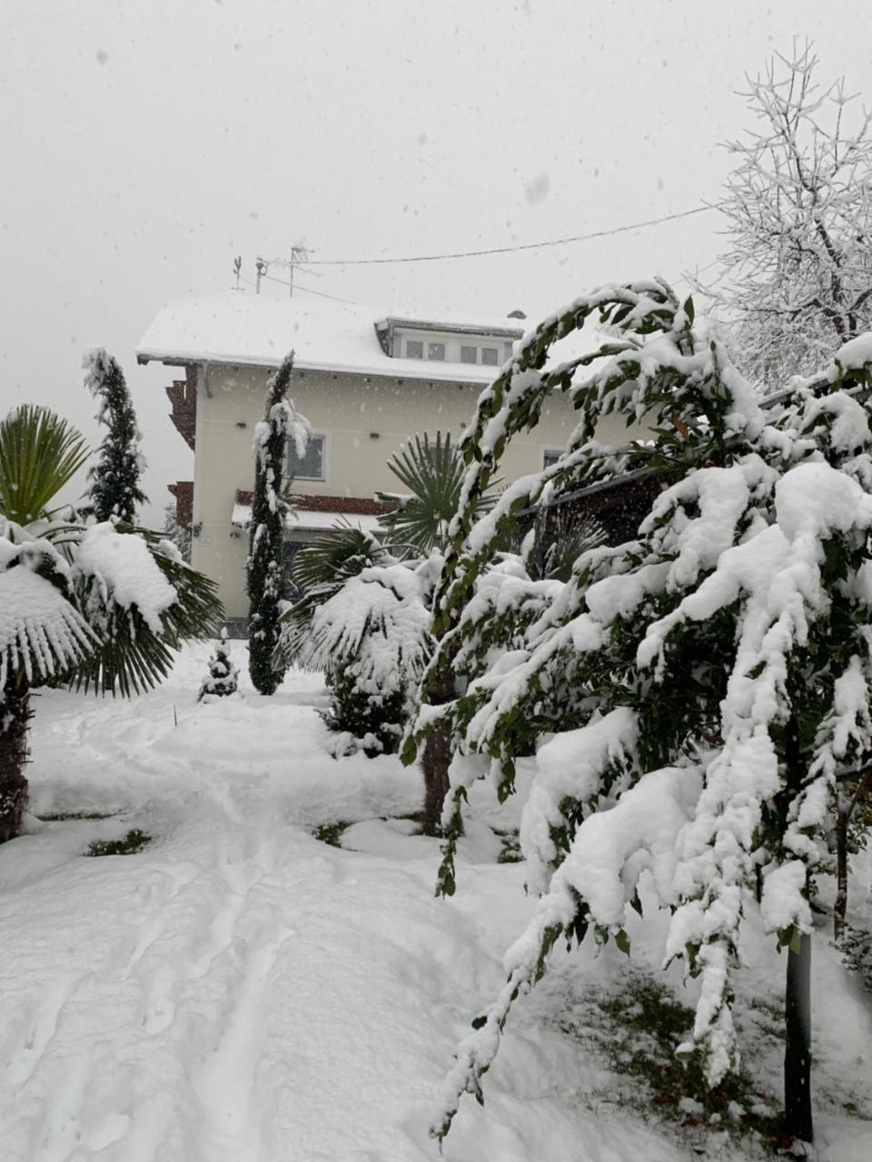 Garni San Paolo Hotel Appiano Sulla Strada Del Vino Exterior photo