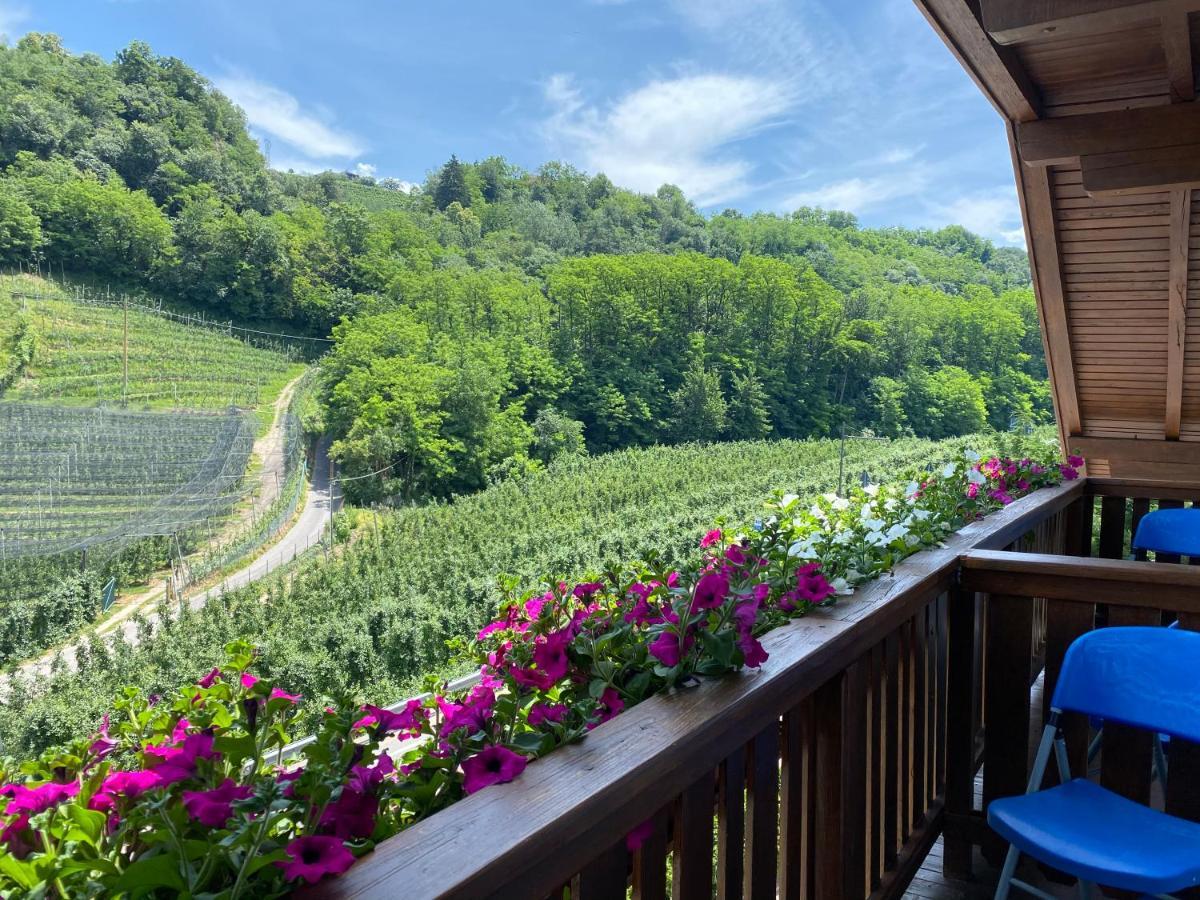 Garni San Paolo Hotel Appiano Sulla Strada Del Vino Exterior photo