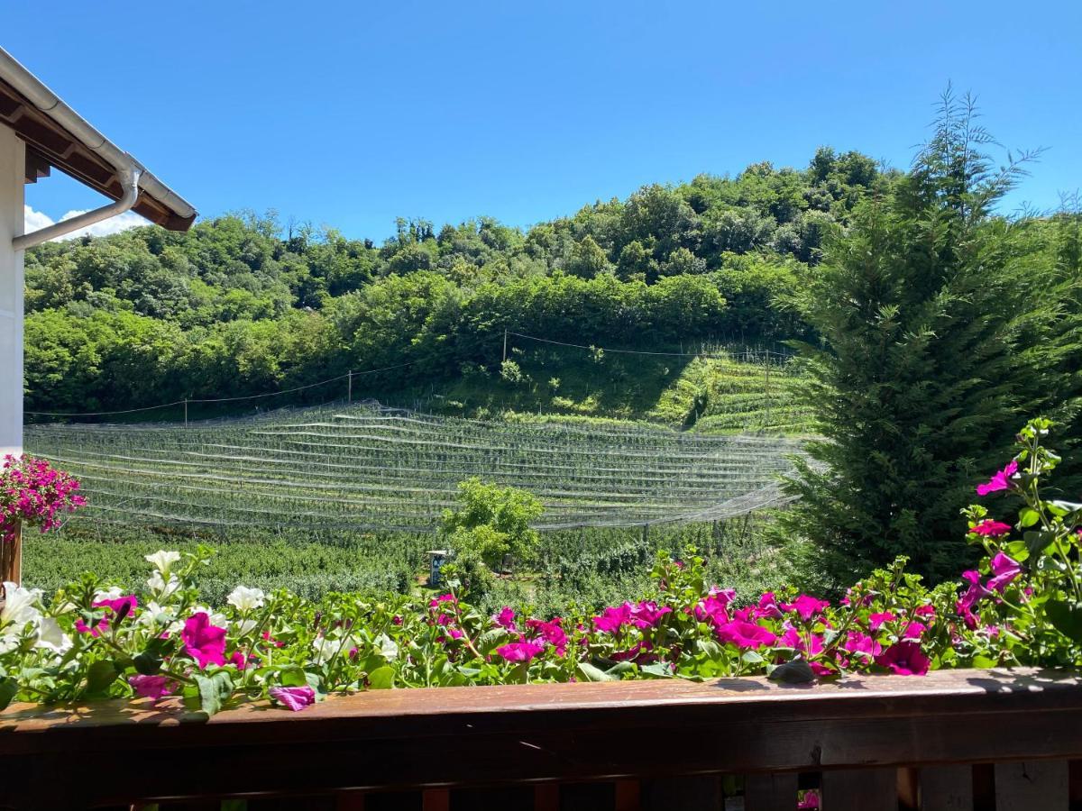 Garni San Paolo Hotel Appiano Sulla Strada Del Vino Exterior photo